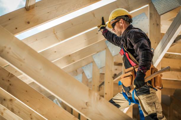 Best Roof Gutter Cleaning  in Dover, TN