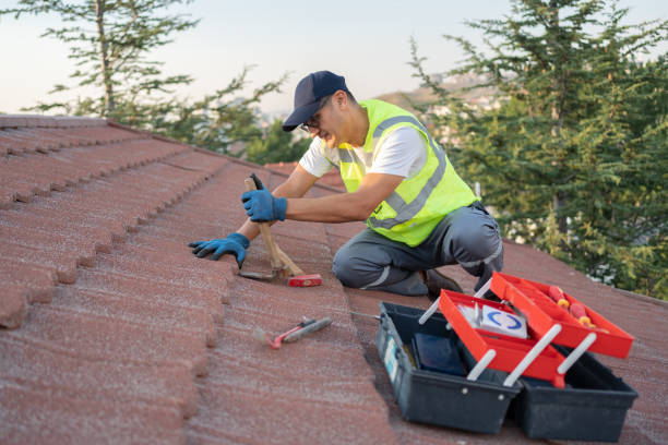 Best Commercial Roofing Services  in Dover, TN